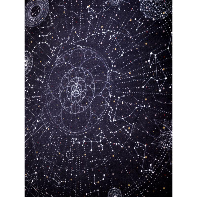 Moooi Kleiner Celestial-Teppich aus weichem Garnpolyamide von Edward van Vliet (21. Jahrhundert und zeitgenössisch) im Angebot