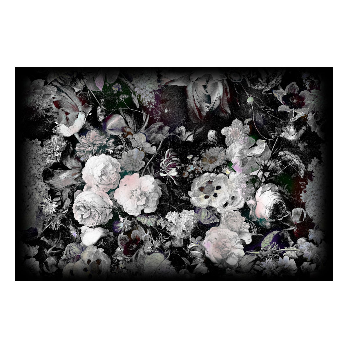 Petit tapis rectangulaire Eden Queen B&W à poils bas Moooi