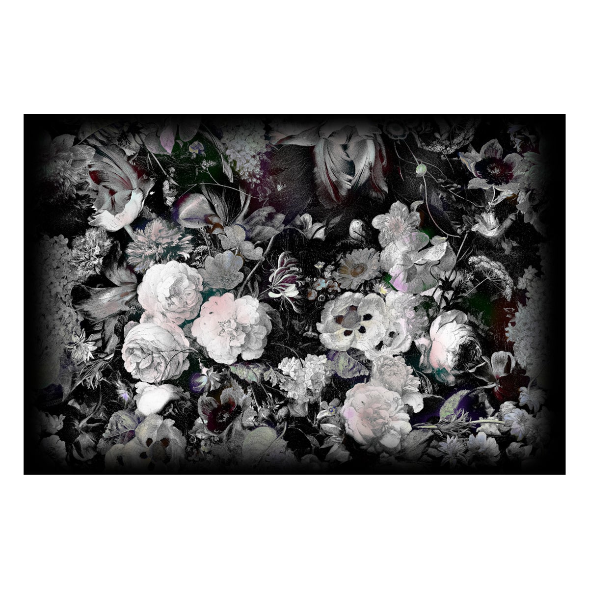 Moooi Small Eden Queen B&W Rectangular Rug in Soft Yarn Polyamide
