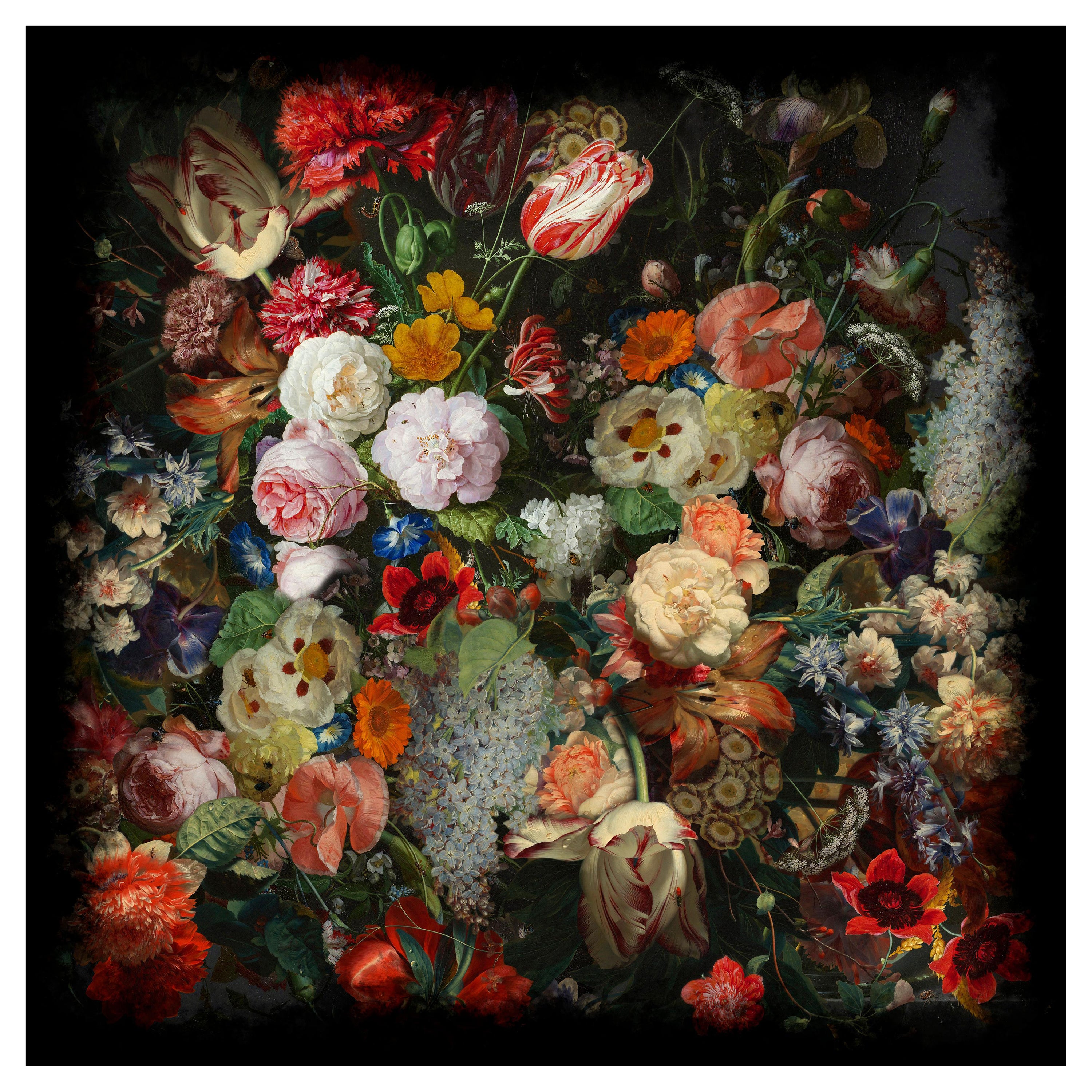Kleiner Eden Queen Sqaure-Teppich aus Wolle von Marcel Wanders Studio, Moooi