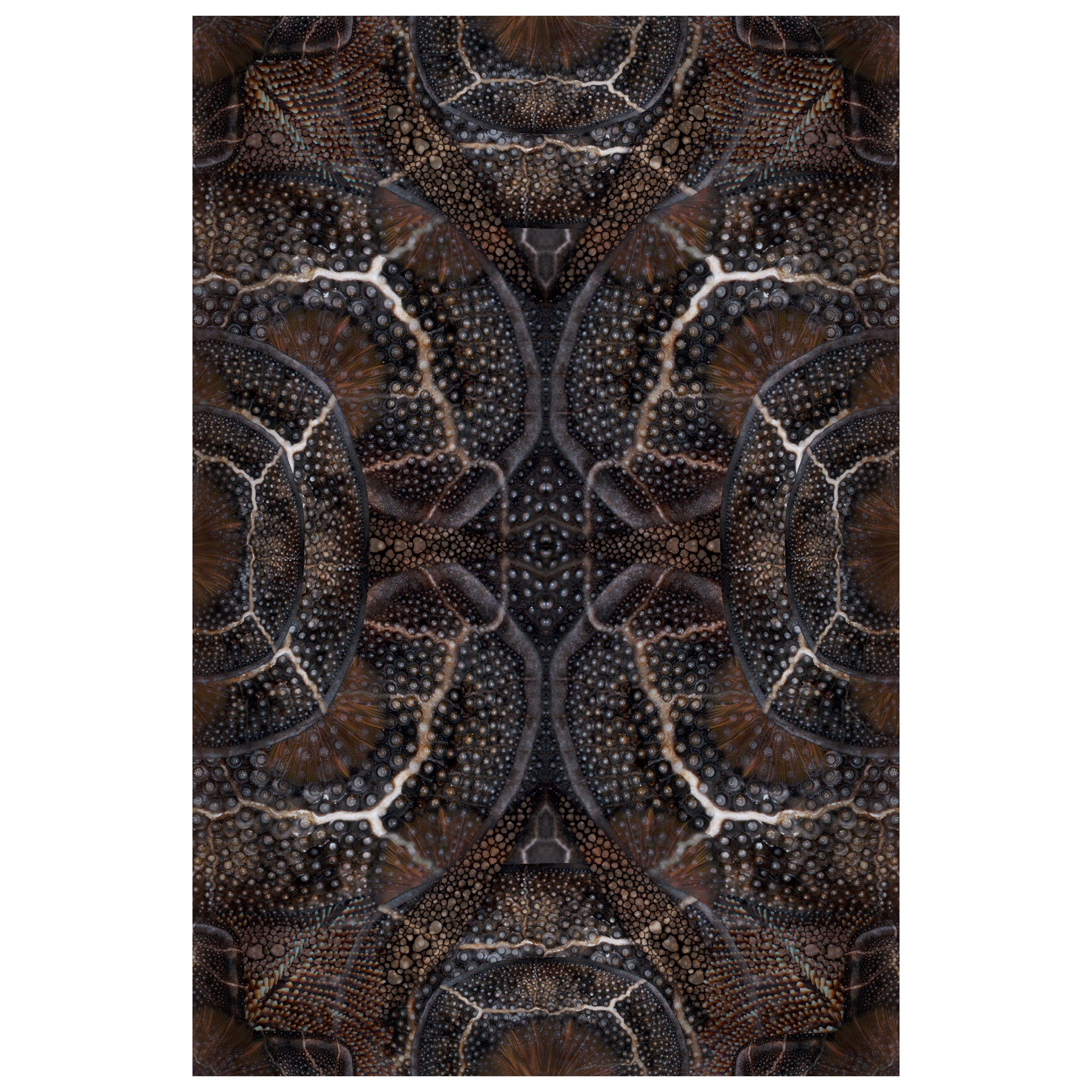 Moooi Small Extinct Animals Blooming Seadragon Rug in Low Pile Polyamide