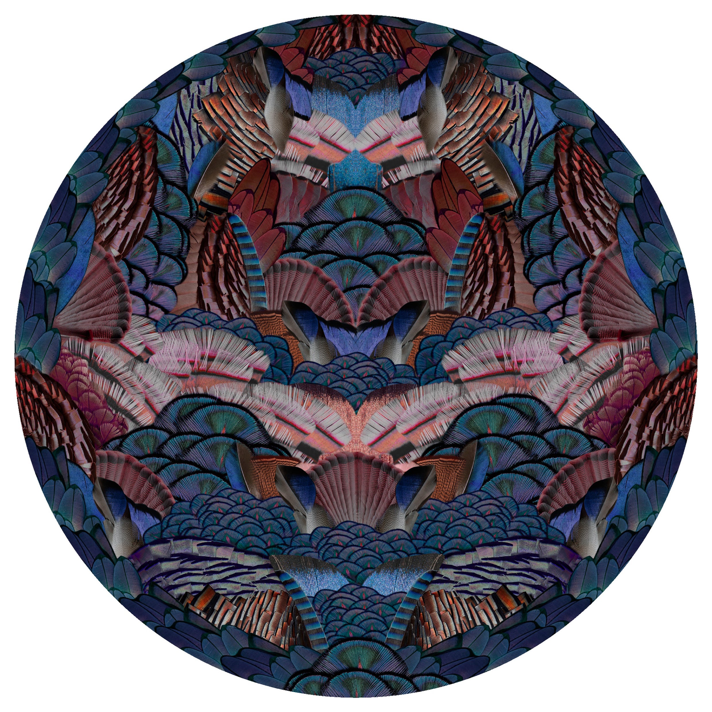 Moooi: Vogelteppich aus tiefflächigem Polyamide mit ausgestorbenen Tieren, Calligraphie