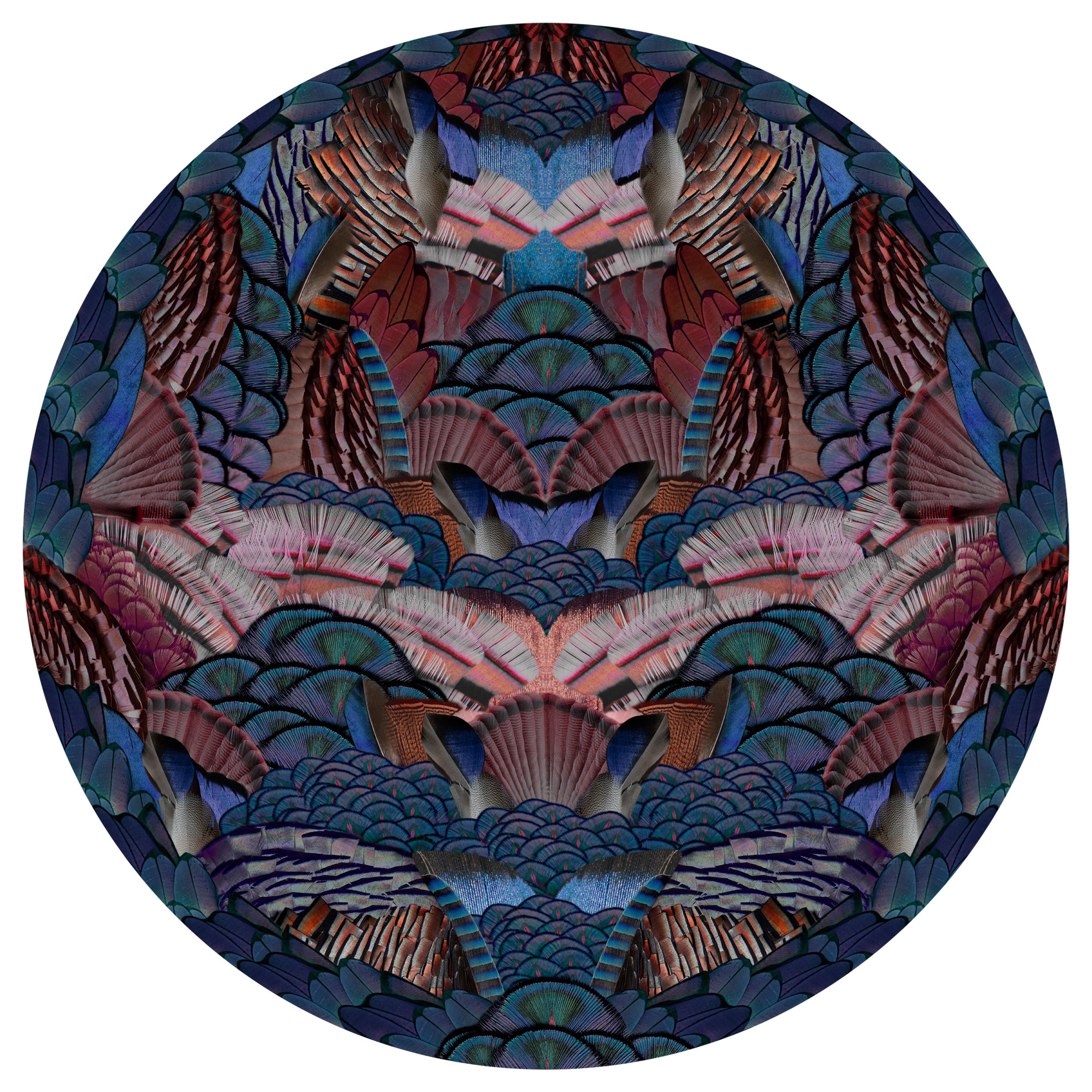 Petit tapis Moooi, calligraphie d'oiseaux à motif d'animaux disparus en polyamide tendre