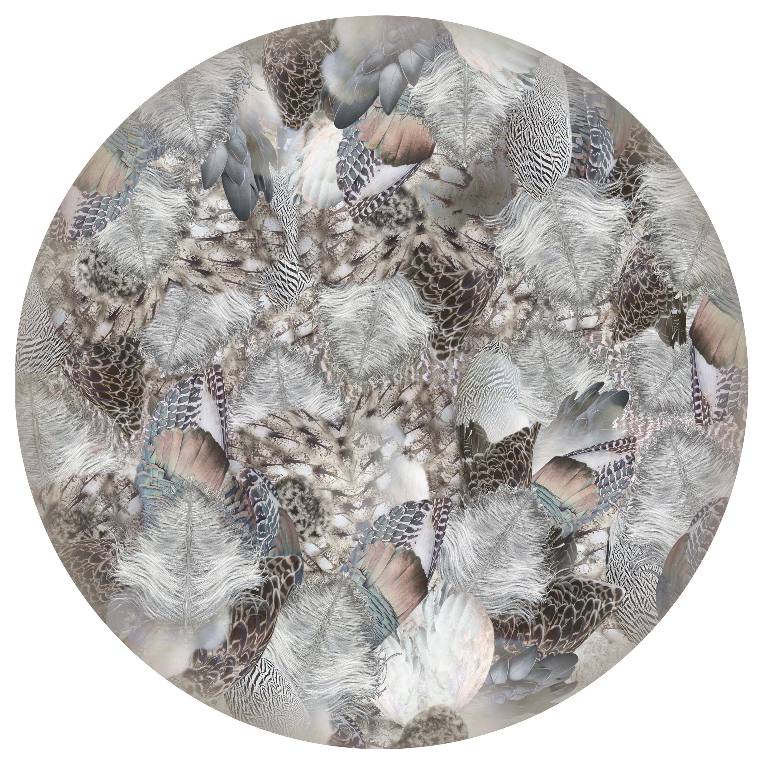 Moooi Small Extinct Animals Dodo Pavone Rug in Low Pile Polyamide