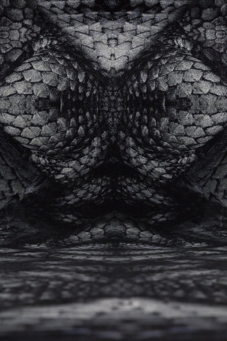 Moooi Small Extinct Animals Dwarf Rhino Rug in Wool For Sale at 1stDibs