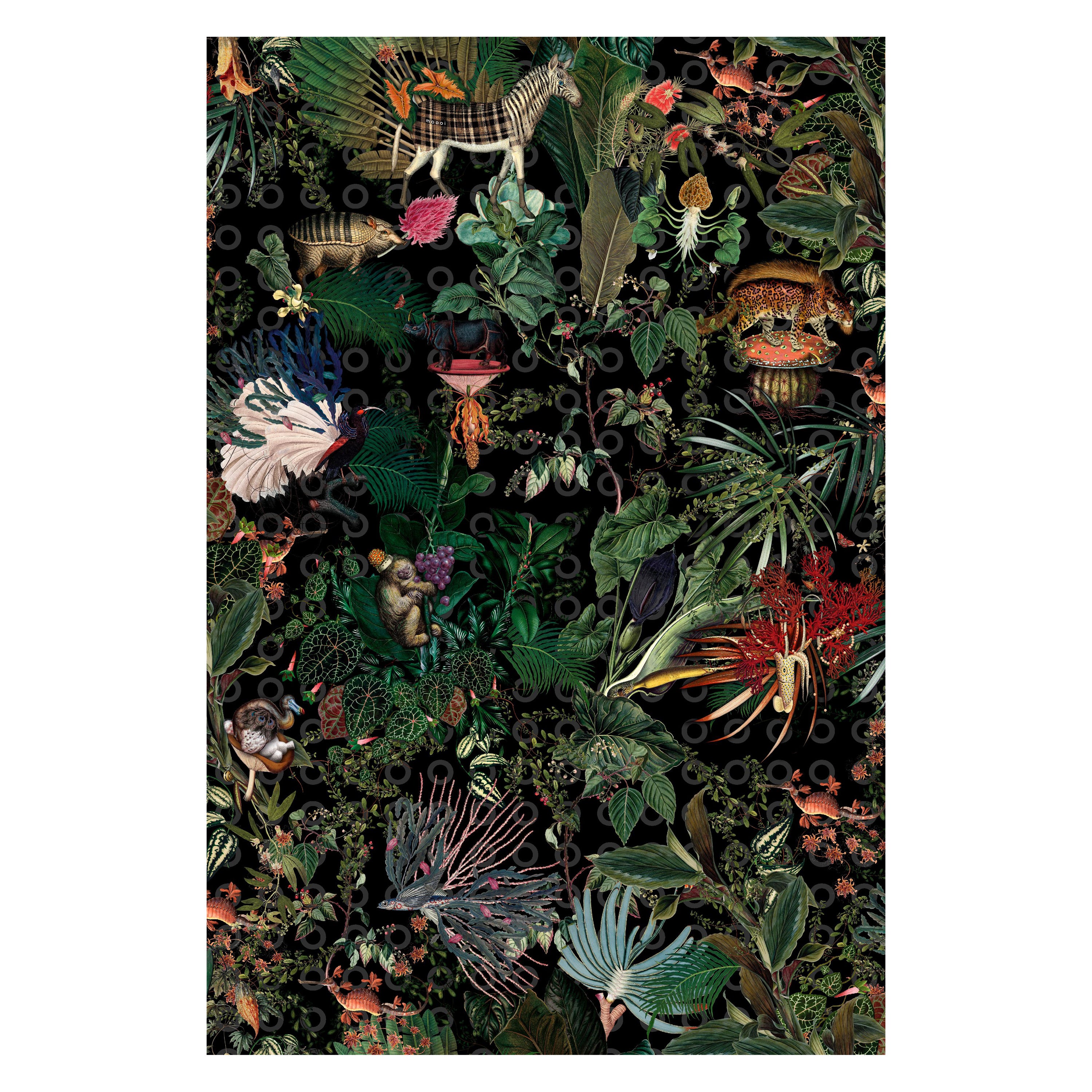 Moooi - Petit tapis rectangulaire en polyamide à motif raton laveur avec motif d'animaux disparus
