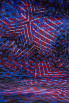 Moooi Small Extinct Animals Umbrella Squid Teppich aus weichem Garn Polyamid