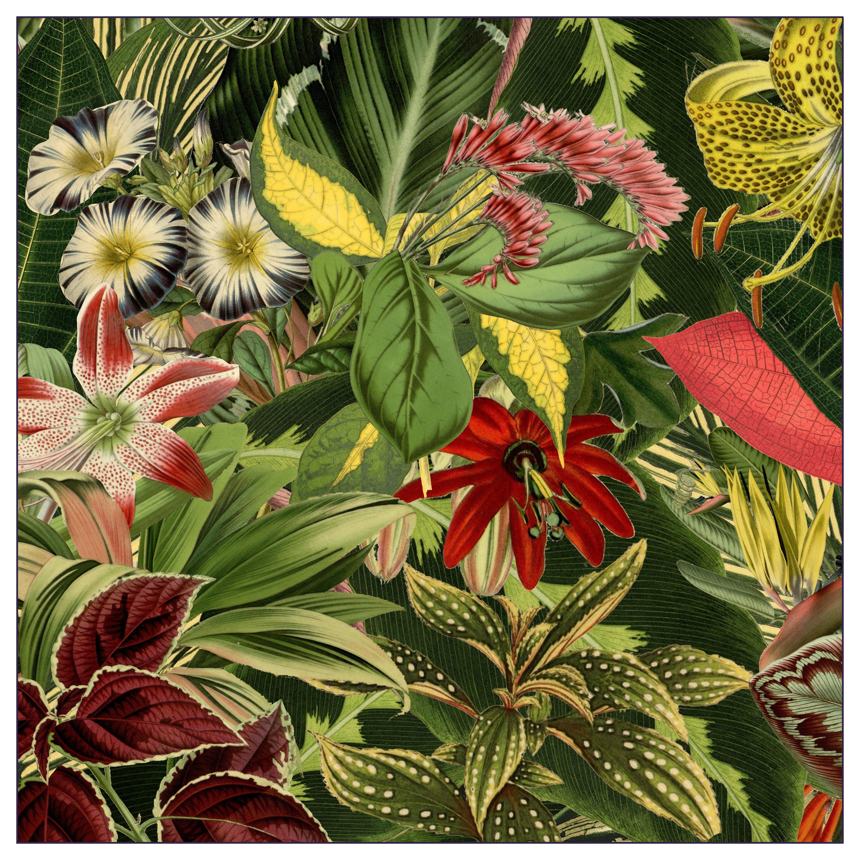 Tappeto Moooi Small Extinct Plants Quadrato in Poliammide a Basso Velo