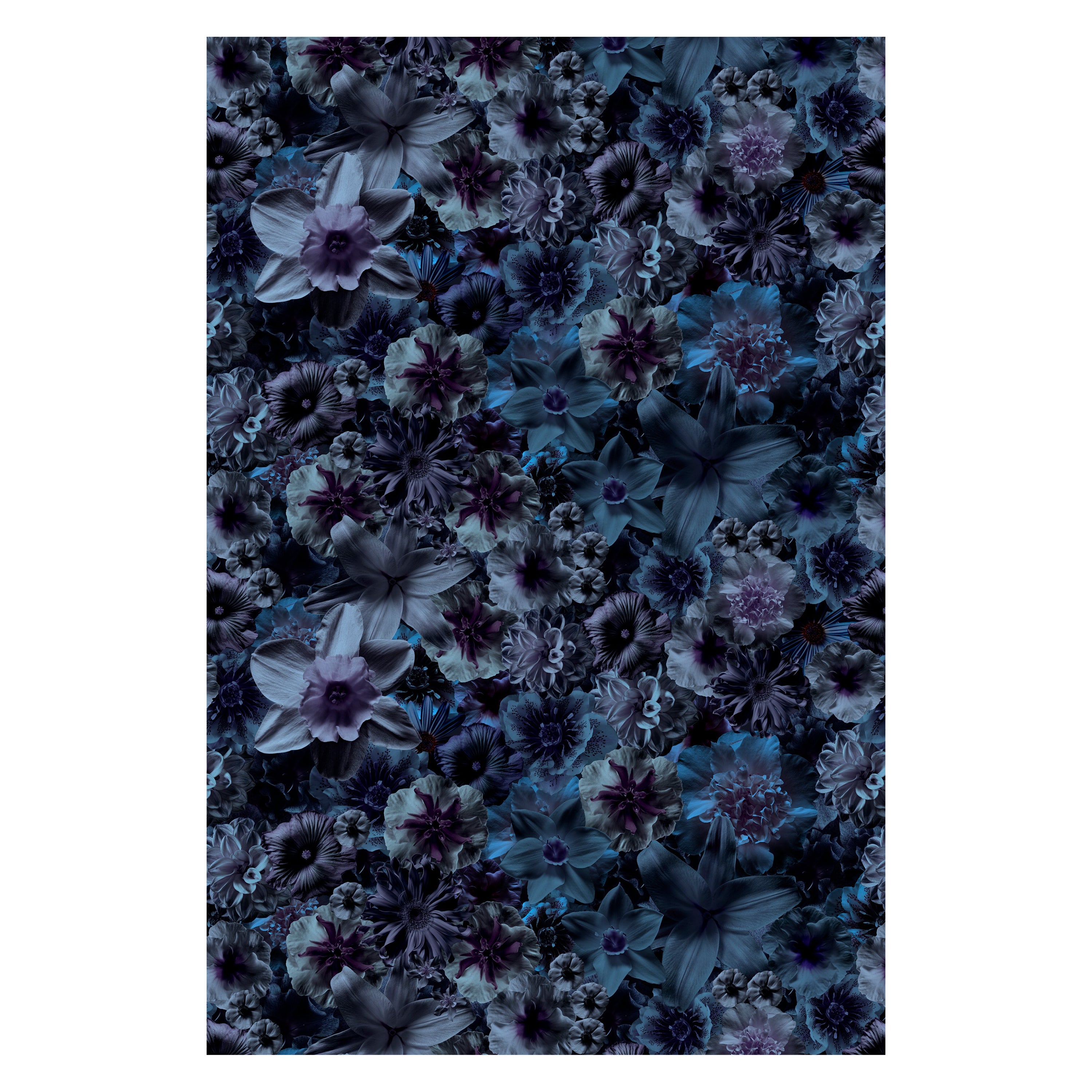 Kleiner rechteckiger Flowergarden-Nachtteppich aus weichem Polyamide-Garn von Moooi
