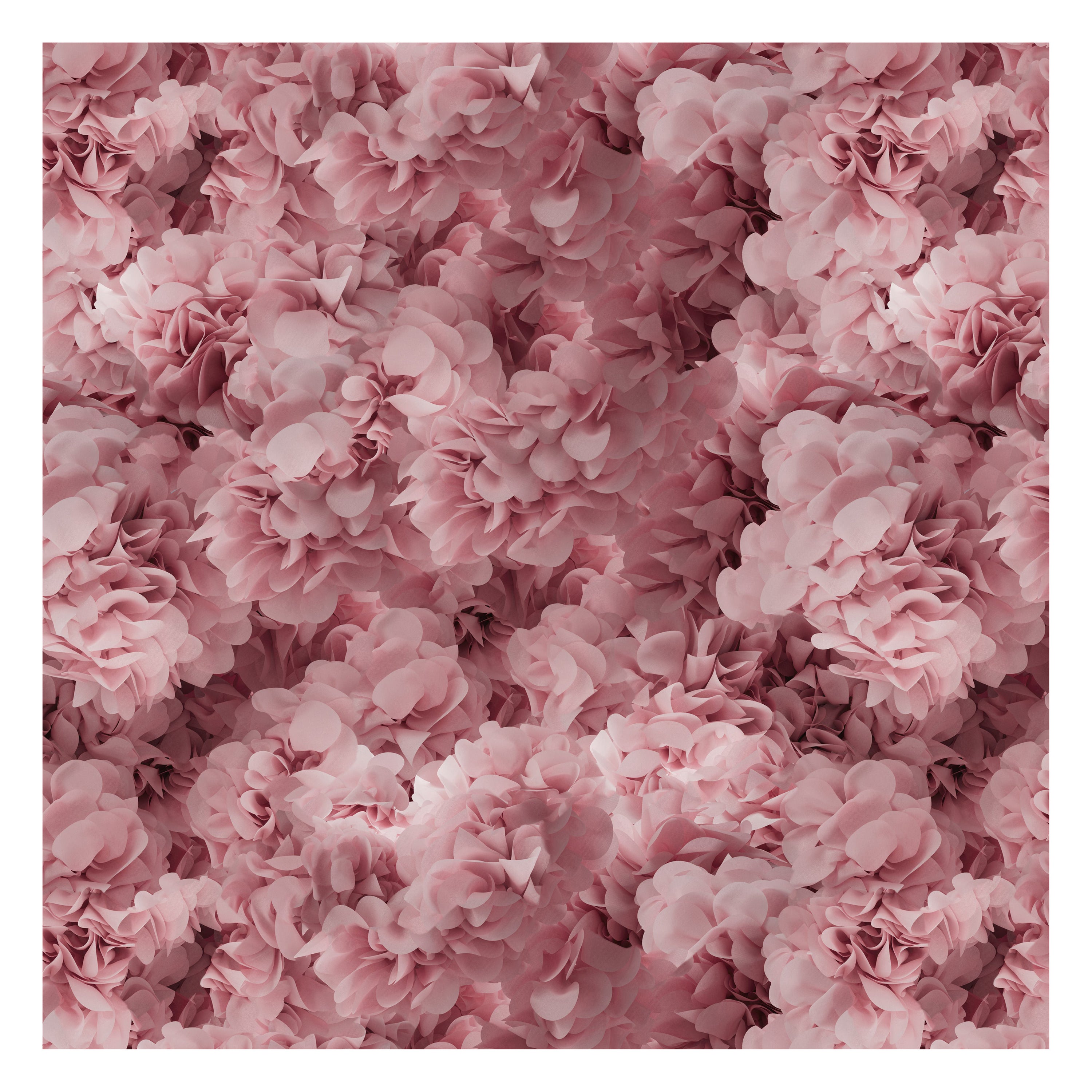 Kleiner quadratischer Teppich aus Wolle in Hortensia Rosa mit Blindsaum von Moooi