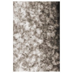 Moooi Small Lying Petals Rug in Low Pile Polyamide by Ferry Schiffelers