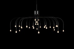 Moooi Starfall Light 30 Circular Suspension Lamp in Black by Front Design