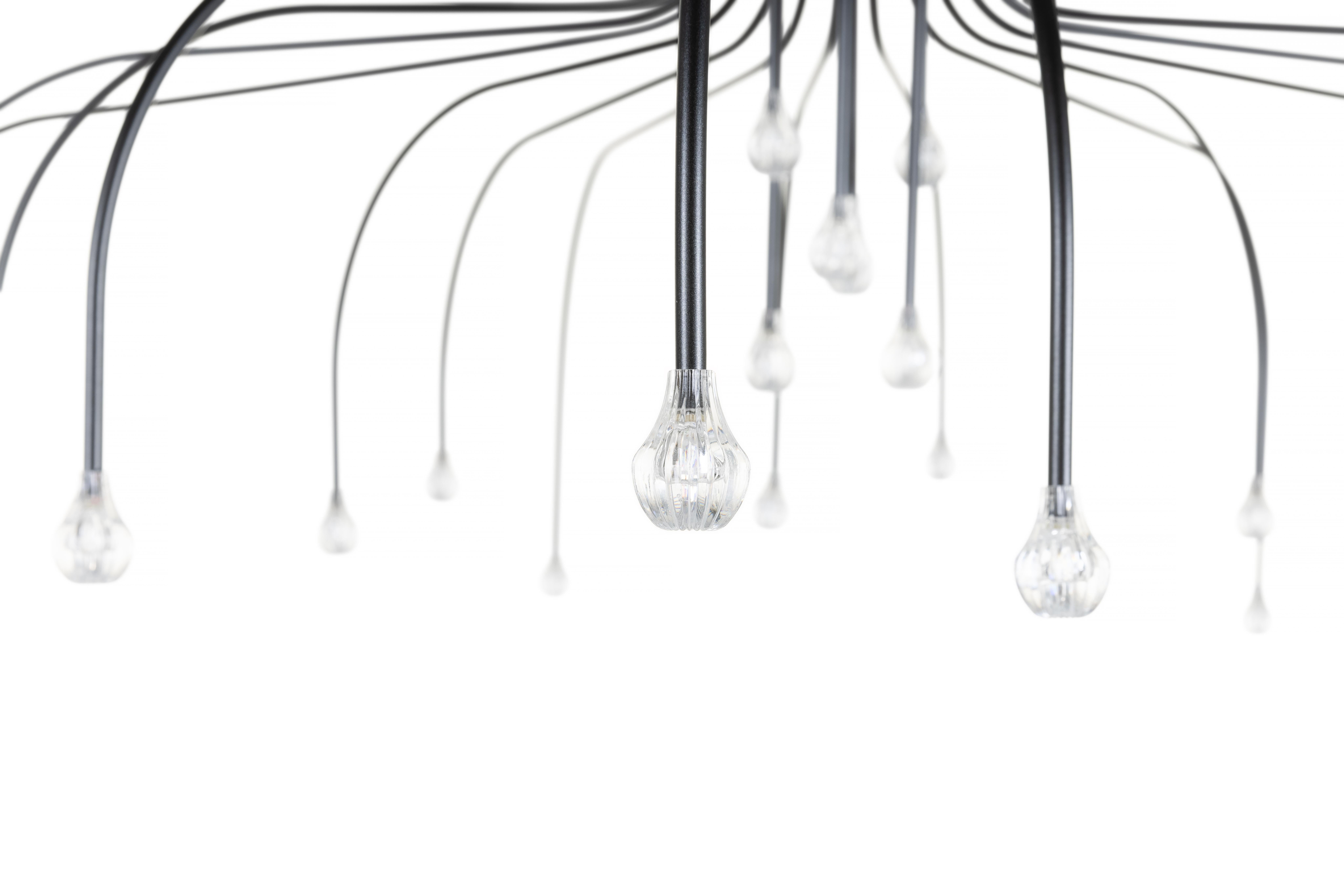 XXI secolo e contemporaneo Moooi Starfall Light 30 Lampada a sospensione circolare in nero by Front Design in vendita