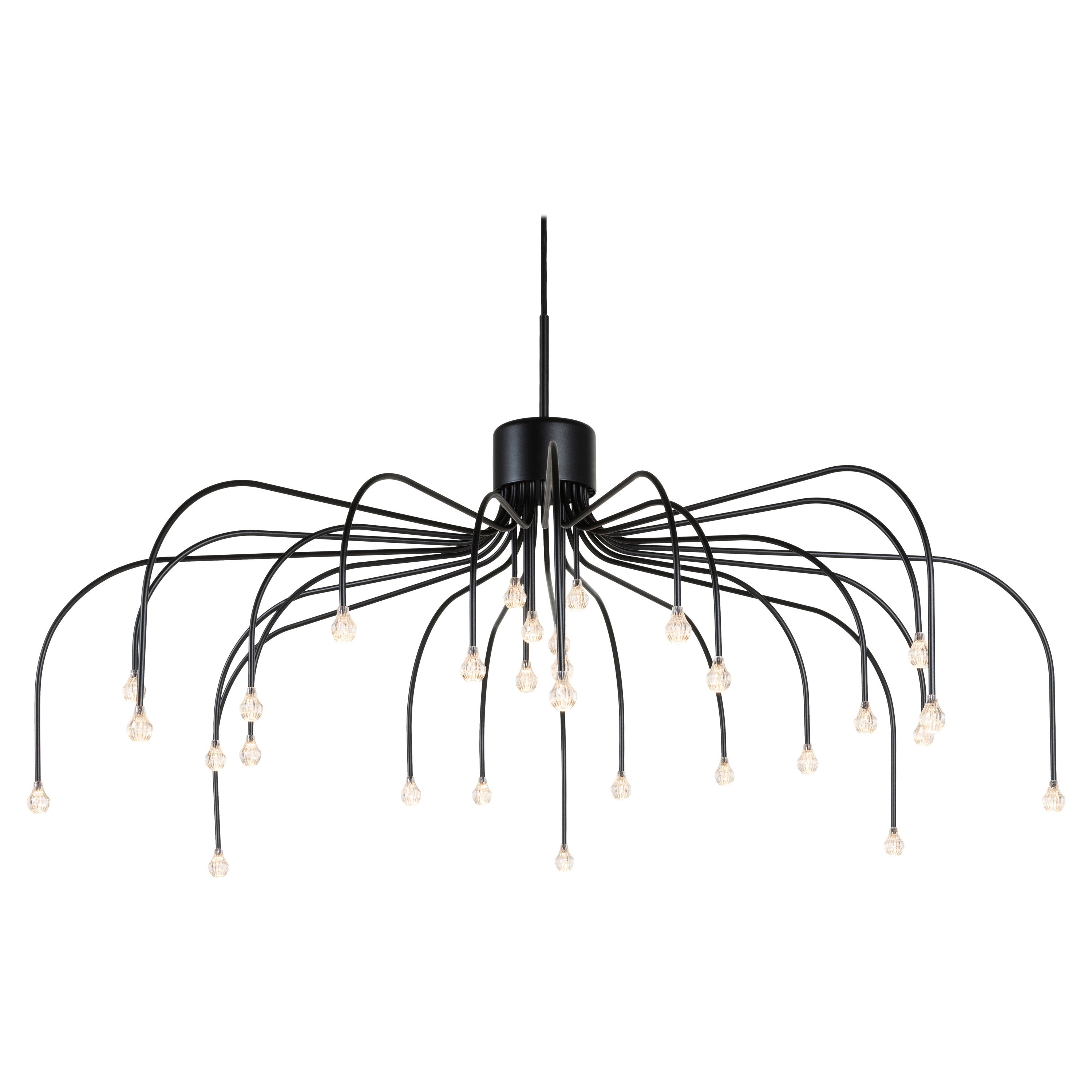 Moooi Starfall Light 30, kreisförmige Hängeleuchte in Schwarz von Front Design im Angebot