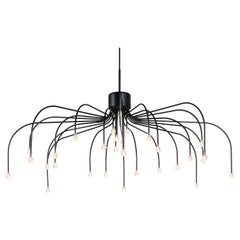 Moooi Starfall Light 30 Circular Suspension Lamp in Black by Front Design