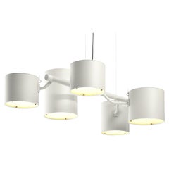 Moooi Statistocrat Suspension Lamp in Traffic White Powder Coated Aluminium