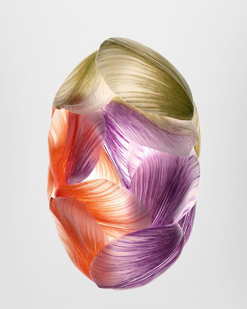 Carpet Tulip Mania by Hilde Koenders pictures a bundle of lucid coloured petals. The carpet is inspired by Hilde Koenders' artistic work, where she feeds pigmented water to tulips. The water colours the petals, laying the delicate veins bare. Tulip