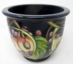 Moorcroft Queens Choice Large Jardinière Vase Bowl Still Life Fruit Emma Bossons