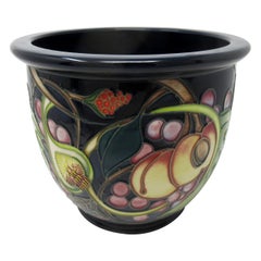 Vintage Moorcroft Queens Choice Large Jardinière Vase Bowl Still Life Fruit Emma Bossons