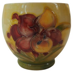 Moorcroft Yellow Summer Vase