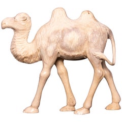 Moose Antler Carving of Camel