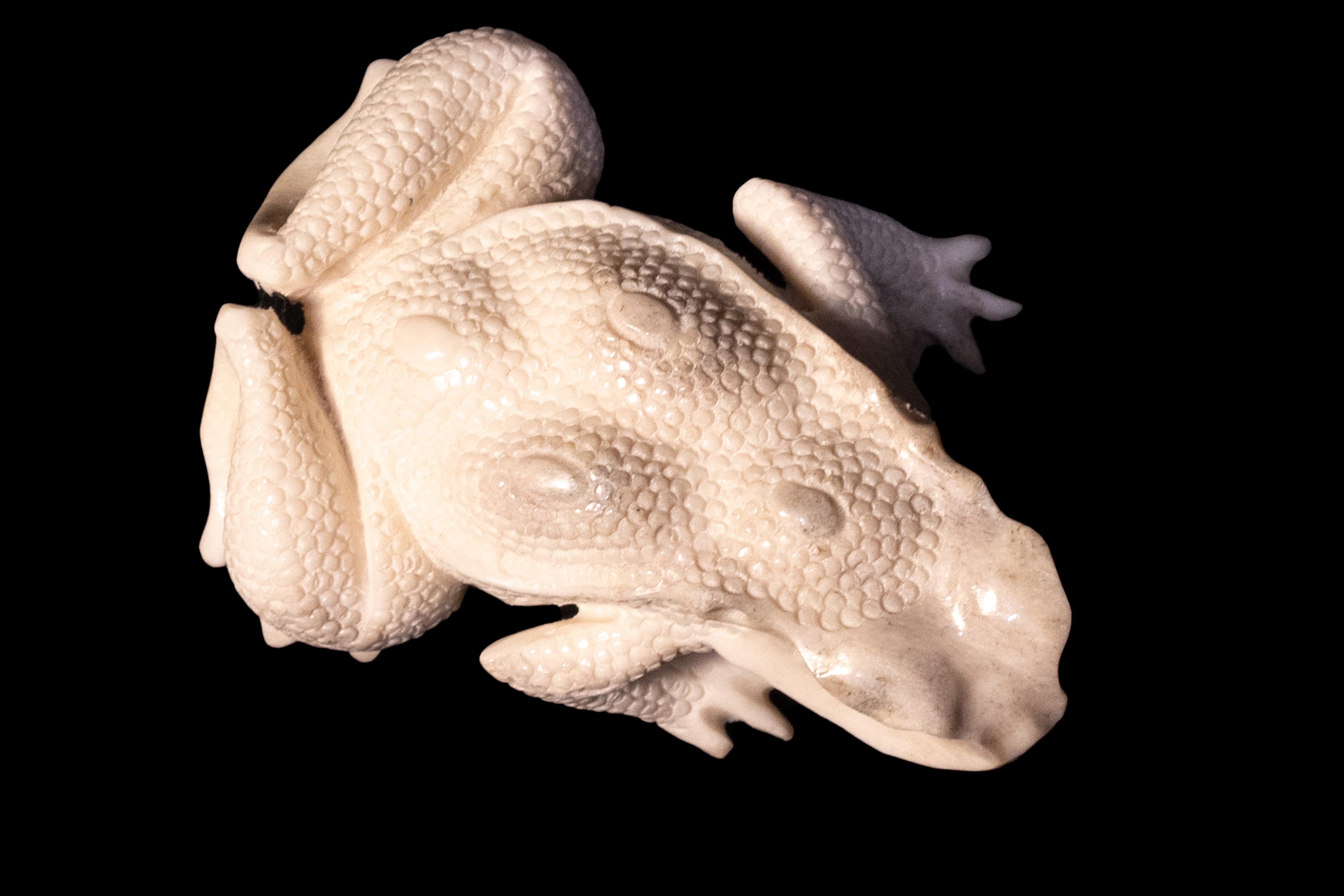 Carved Moose Antler Carving of Toad
