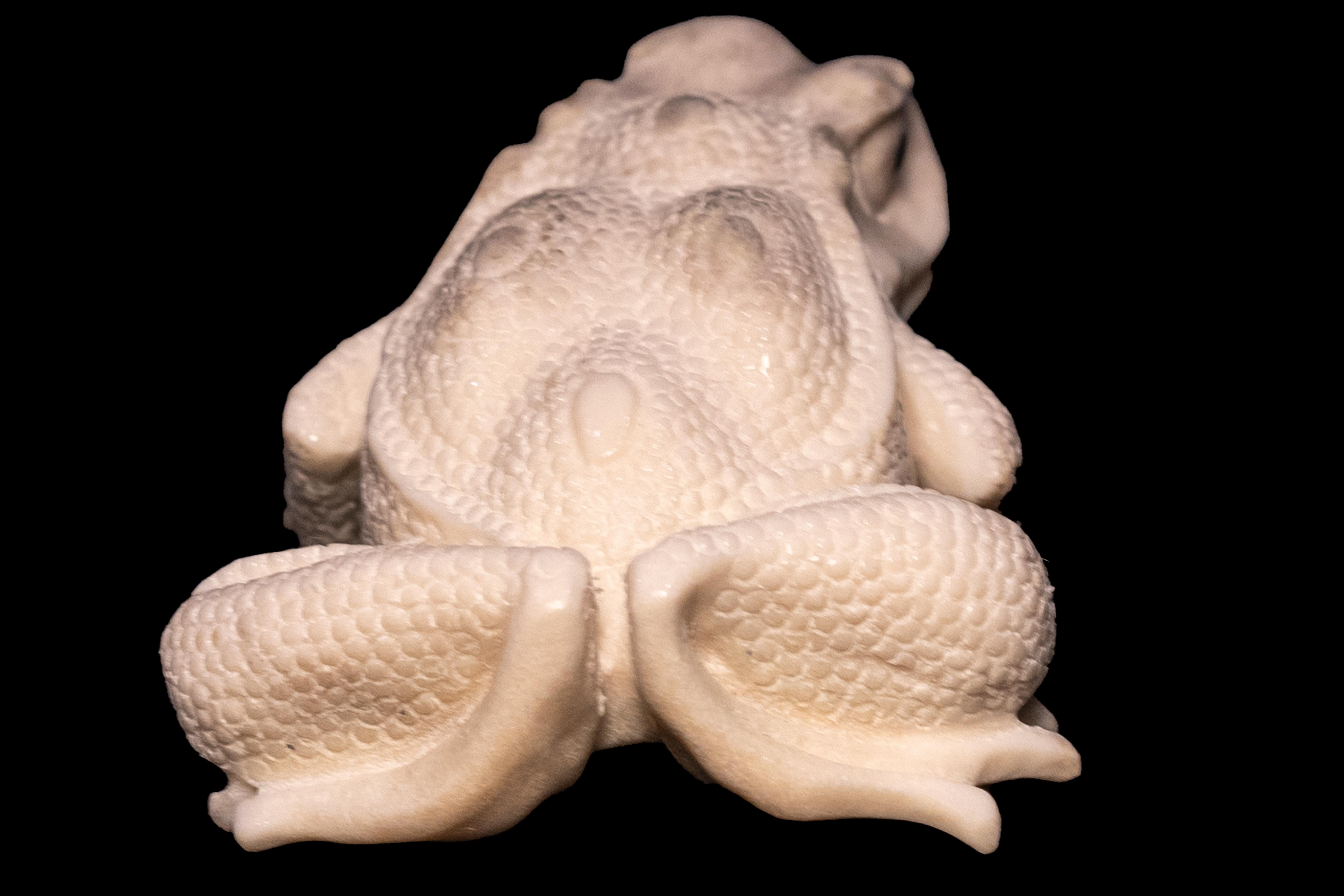 Contemporary Moose Antler Carving of Toad