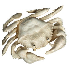 Moose Antler Crab