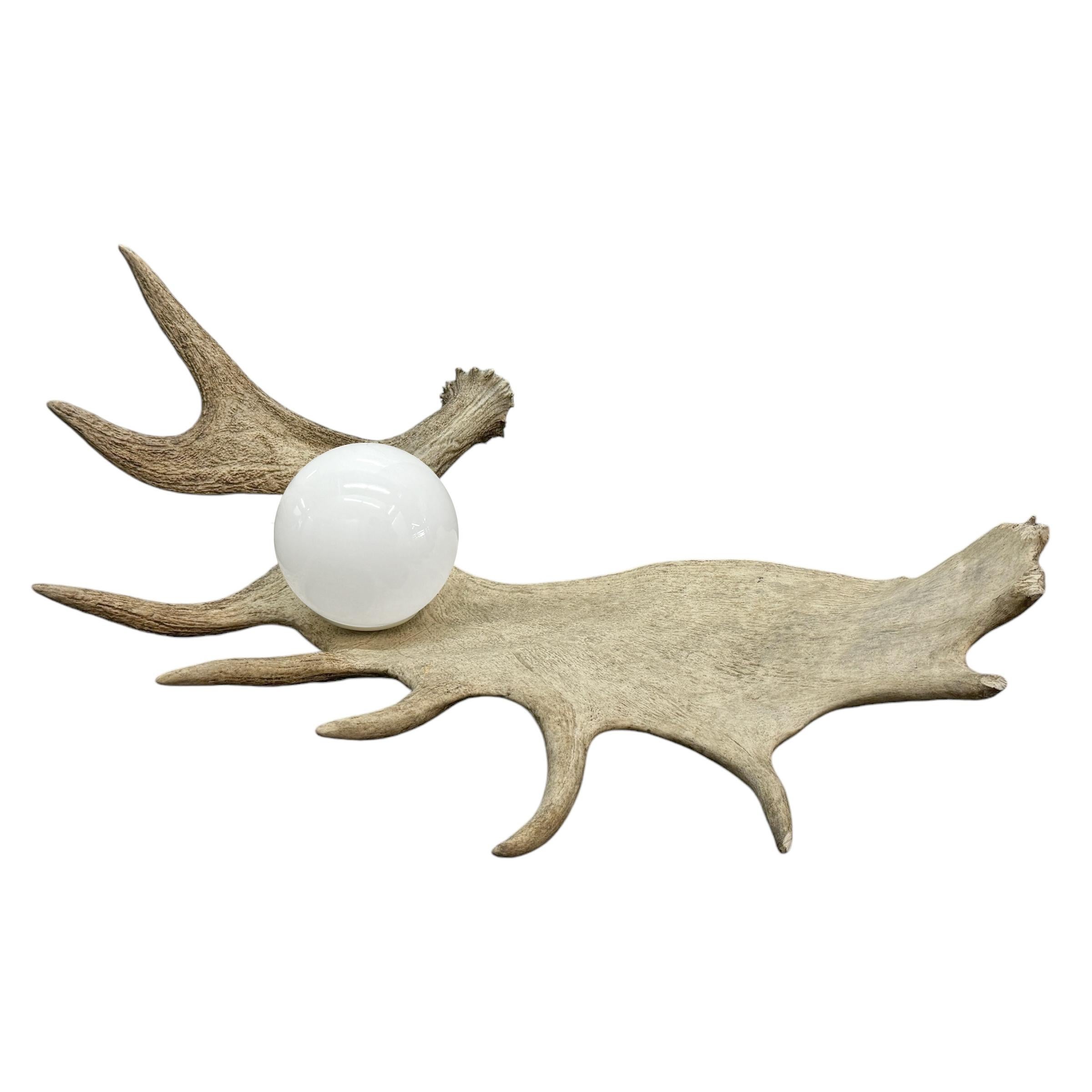 Modern Moose Antler Lamp For Sale