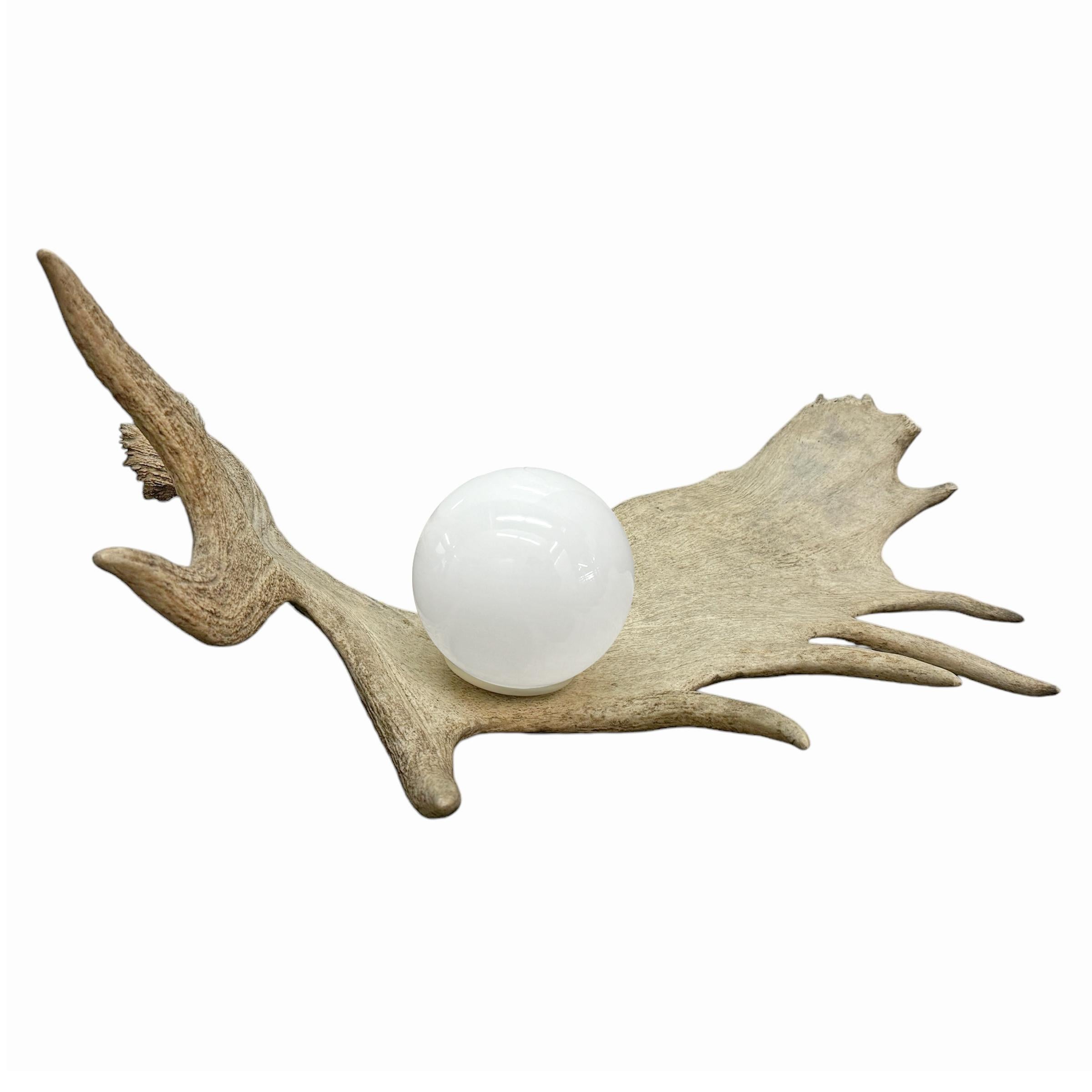 American Moose Antler Lamp For Sale