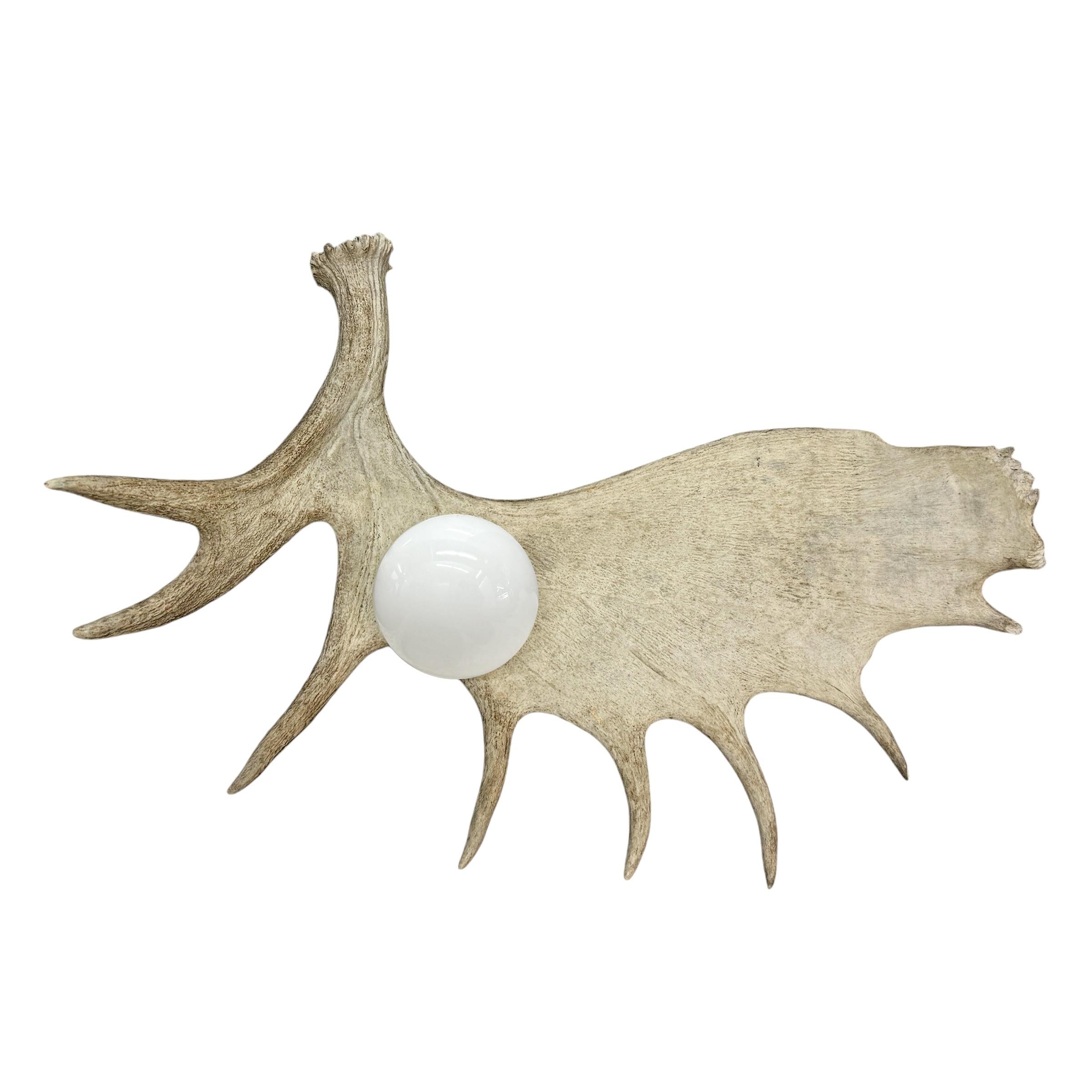 Contemporary Moose Antler Lamp For Sale