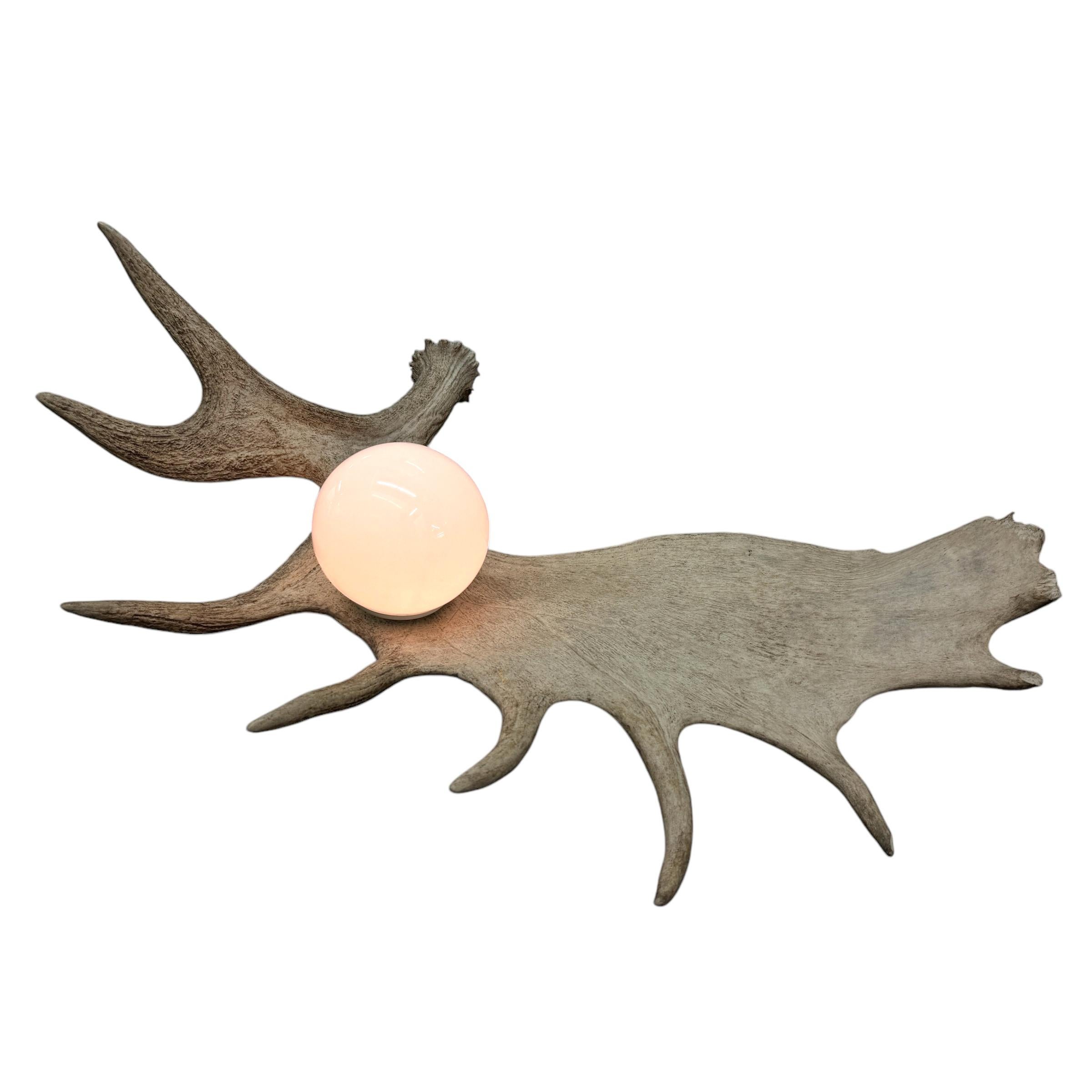 Moose Antler Lamp For Sale 2