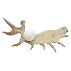 Moose Antler Lamp