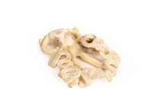 Moose Antler Octopus – Eight Arms of Awesome