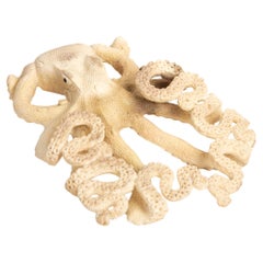 Moose Antler Octopus – Eight Arms of Awesome
