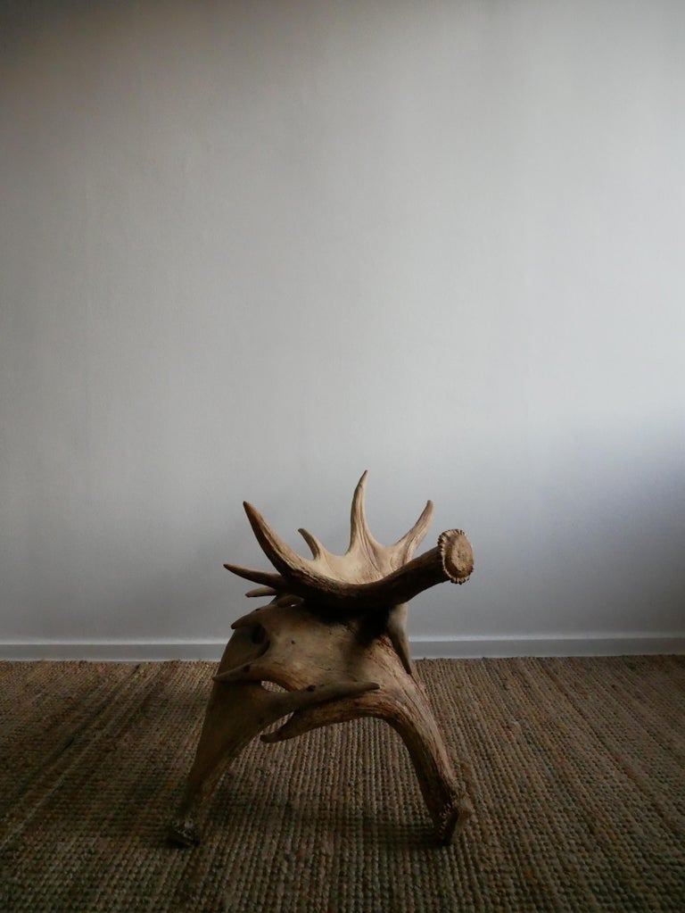 Moose Horn Stool at 1stDibs