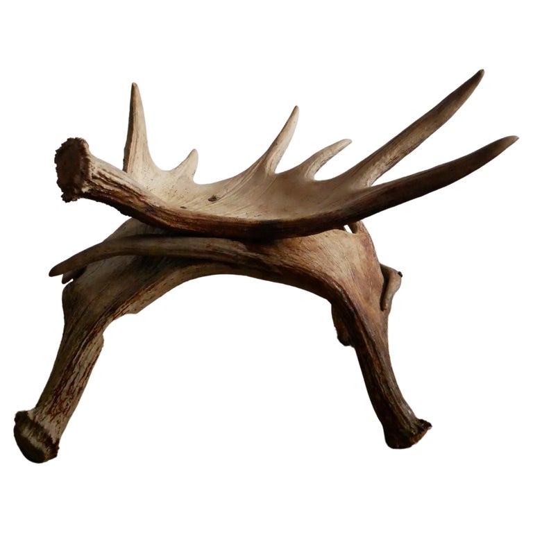 Moose Horn Stool at 1stDibs