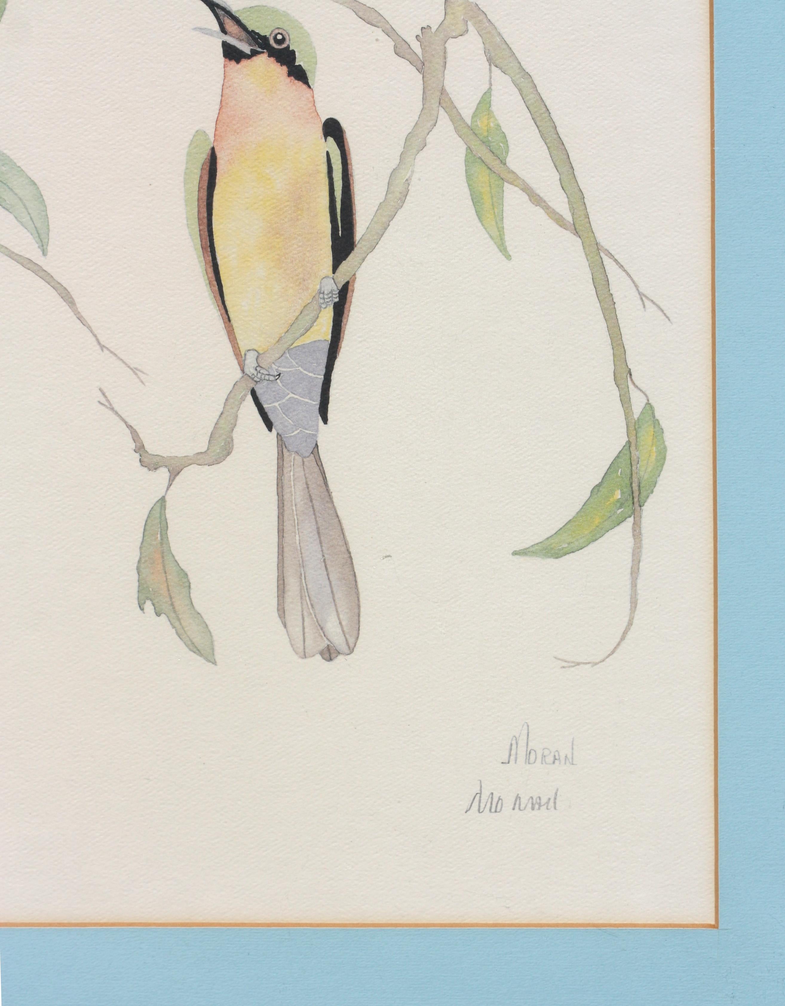 20ième siècle Moran, rouleau indien à queue d'hirondelle, aquarelle en vente
