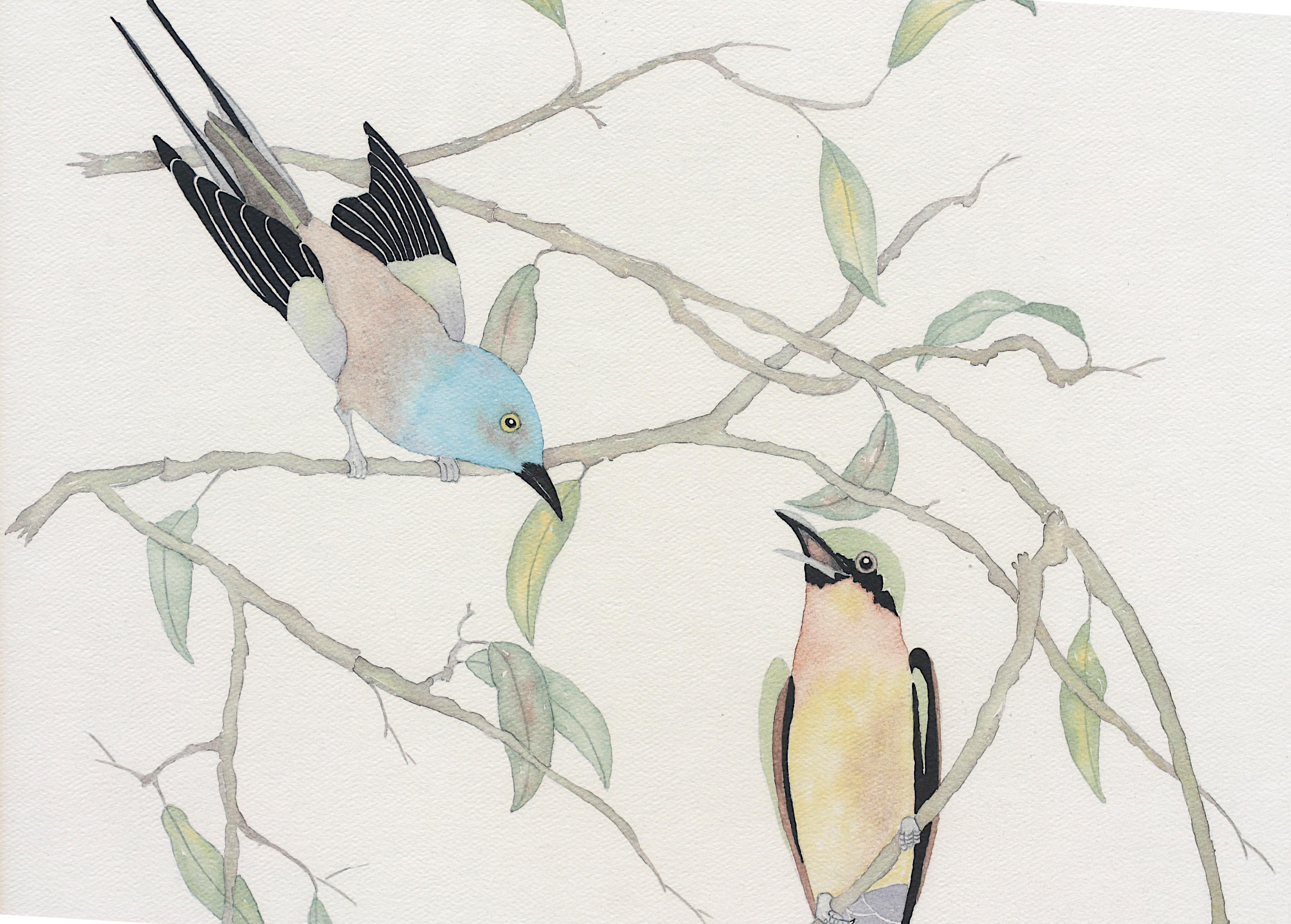 Moran, rouleau indien à queue d'hirondelle, aquarelle en vente 2
