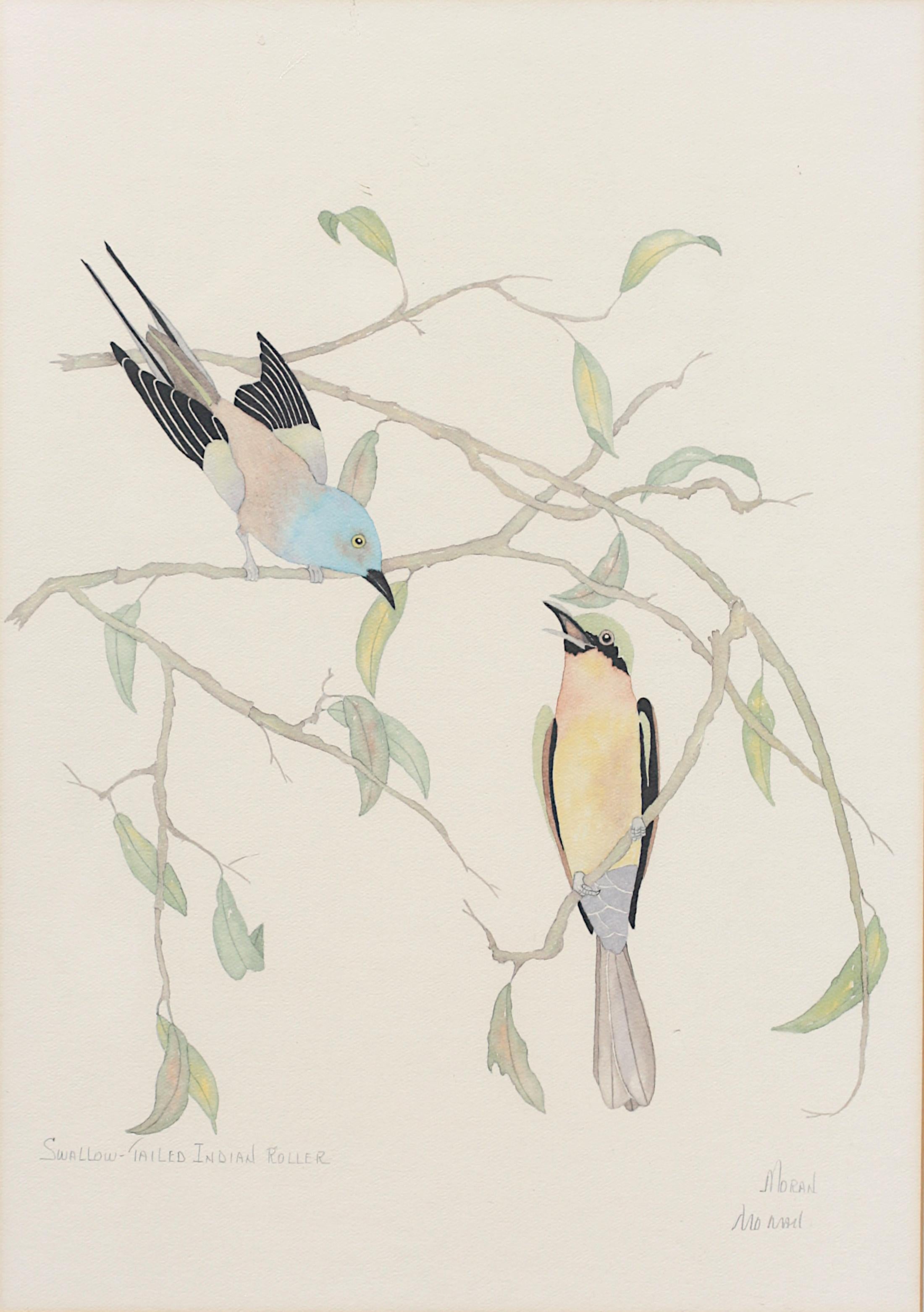 Moran, rouleau indien à queue d'hirondelle, aquarelle en vente 3