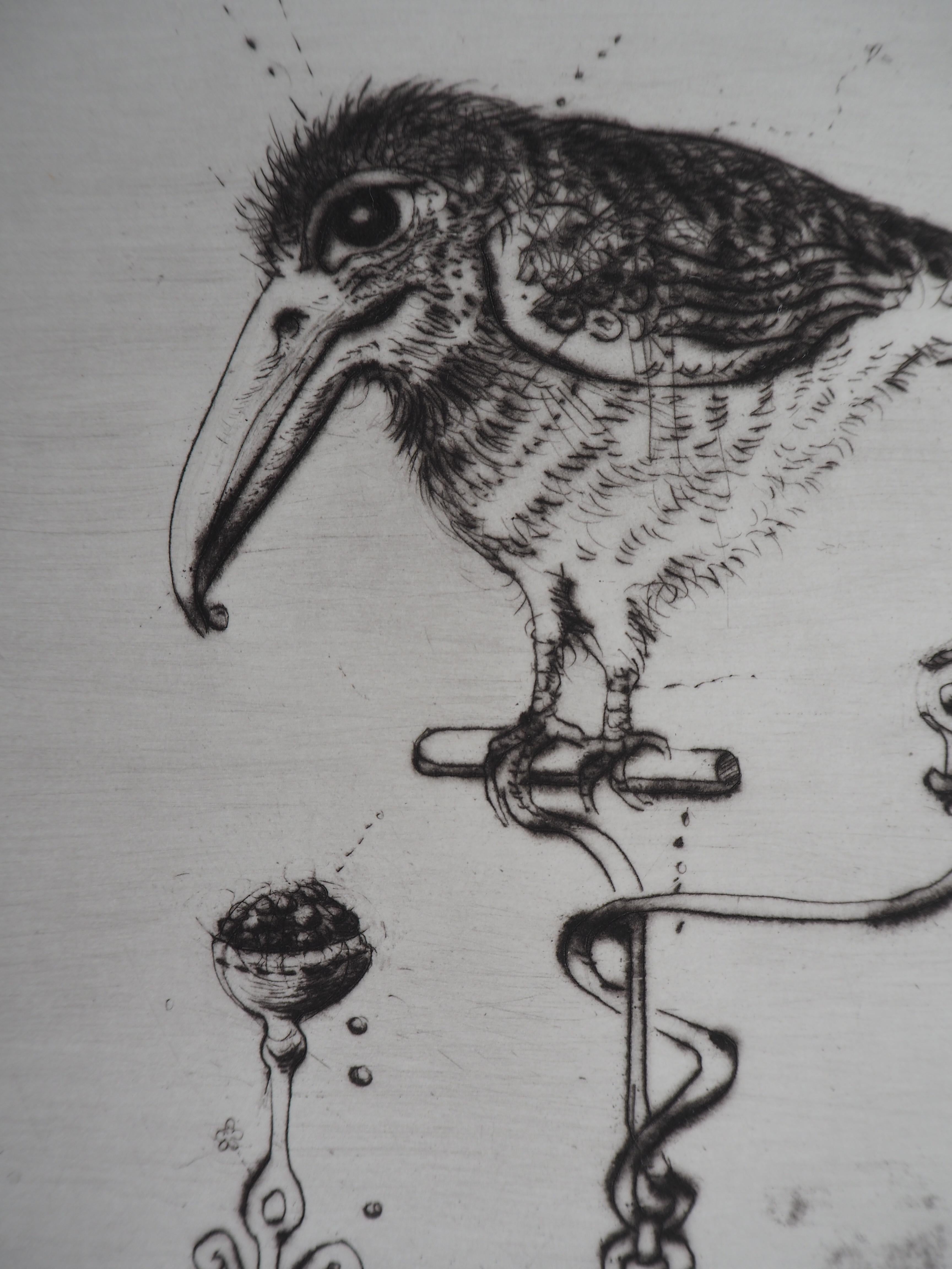 what bird is mordecai
