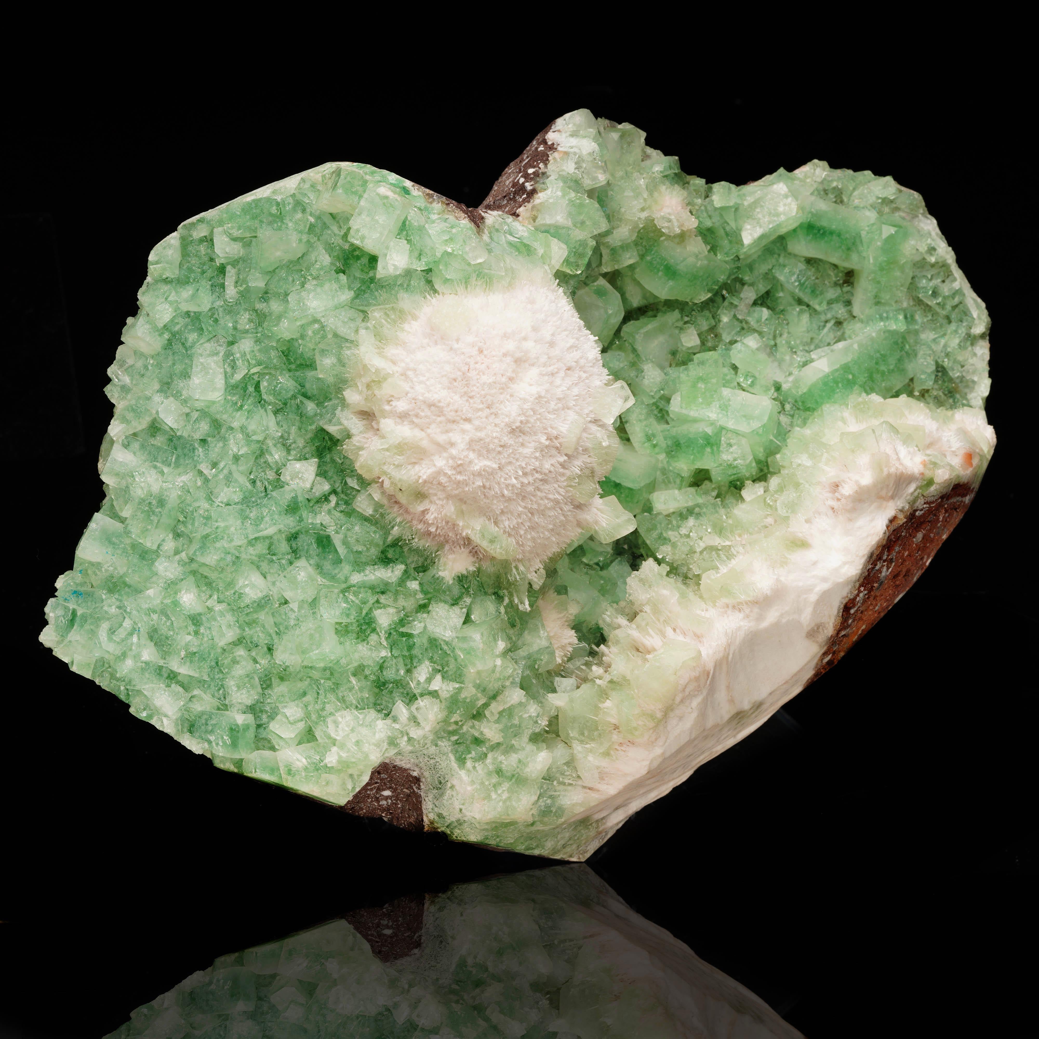 This gorgeous, lustrous, large cabinet size specimen from India features a snowball-like puff of the zeolite mineral mordenite perfectly accenting a swathe of richly pigmented nearly mint-green large, fully formed green gem apophyllite crystals.