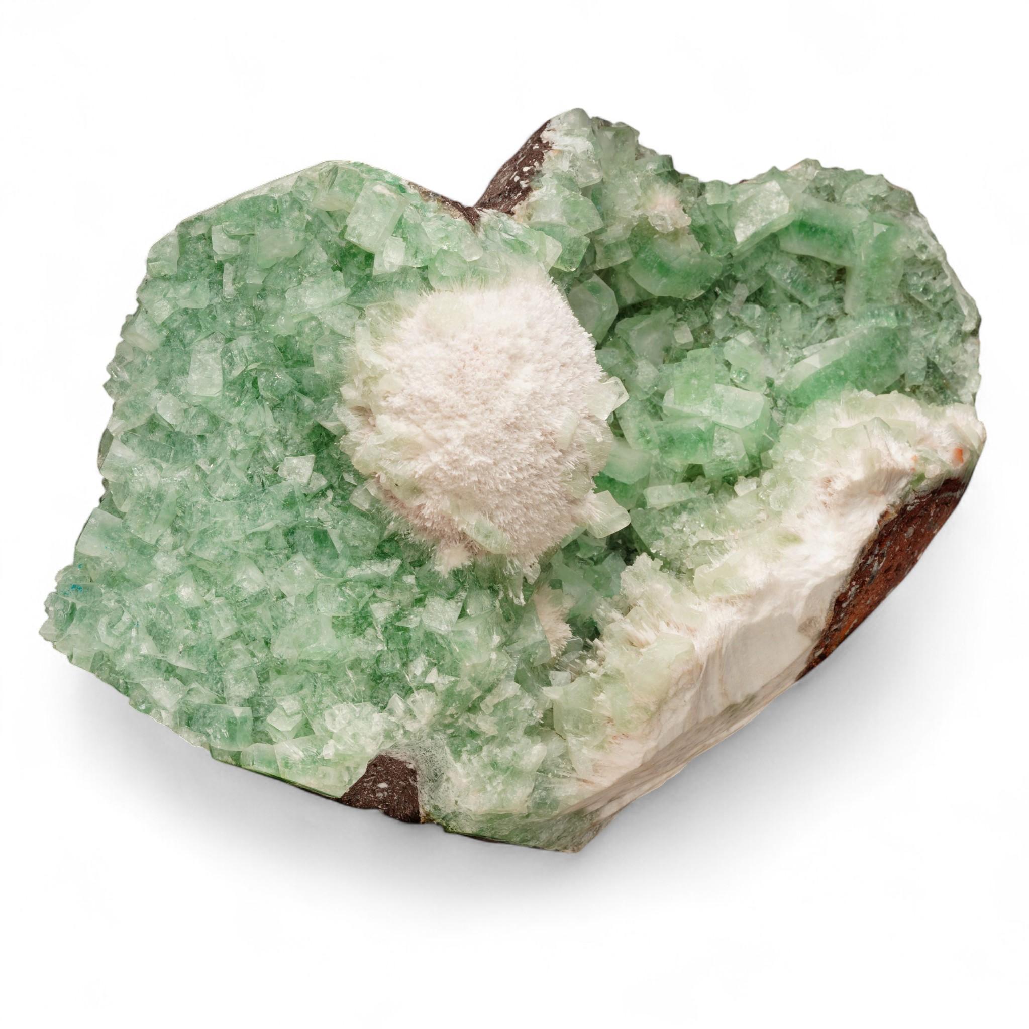 Mordenite on Green Apophyllite For Sale 2