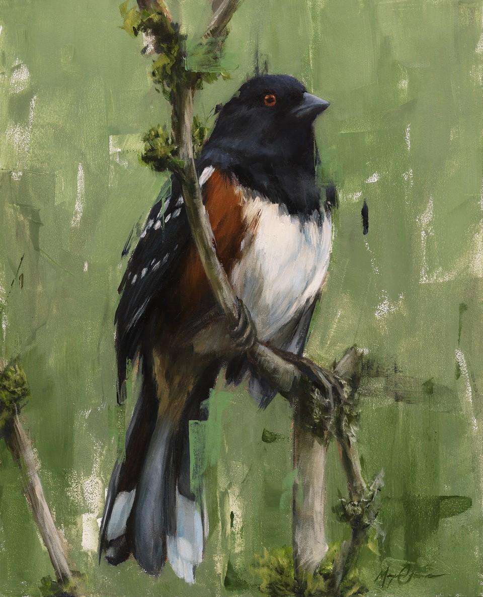 Morgan Cameron Figurative Painting - "Delicate Perch, " Oil painting Featuring Spotted Towhee