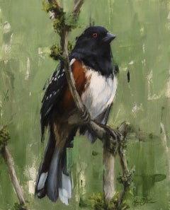 "Delicate Perch, " Oil painting Featuring Spotted Towhee