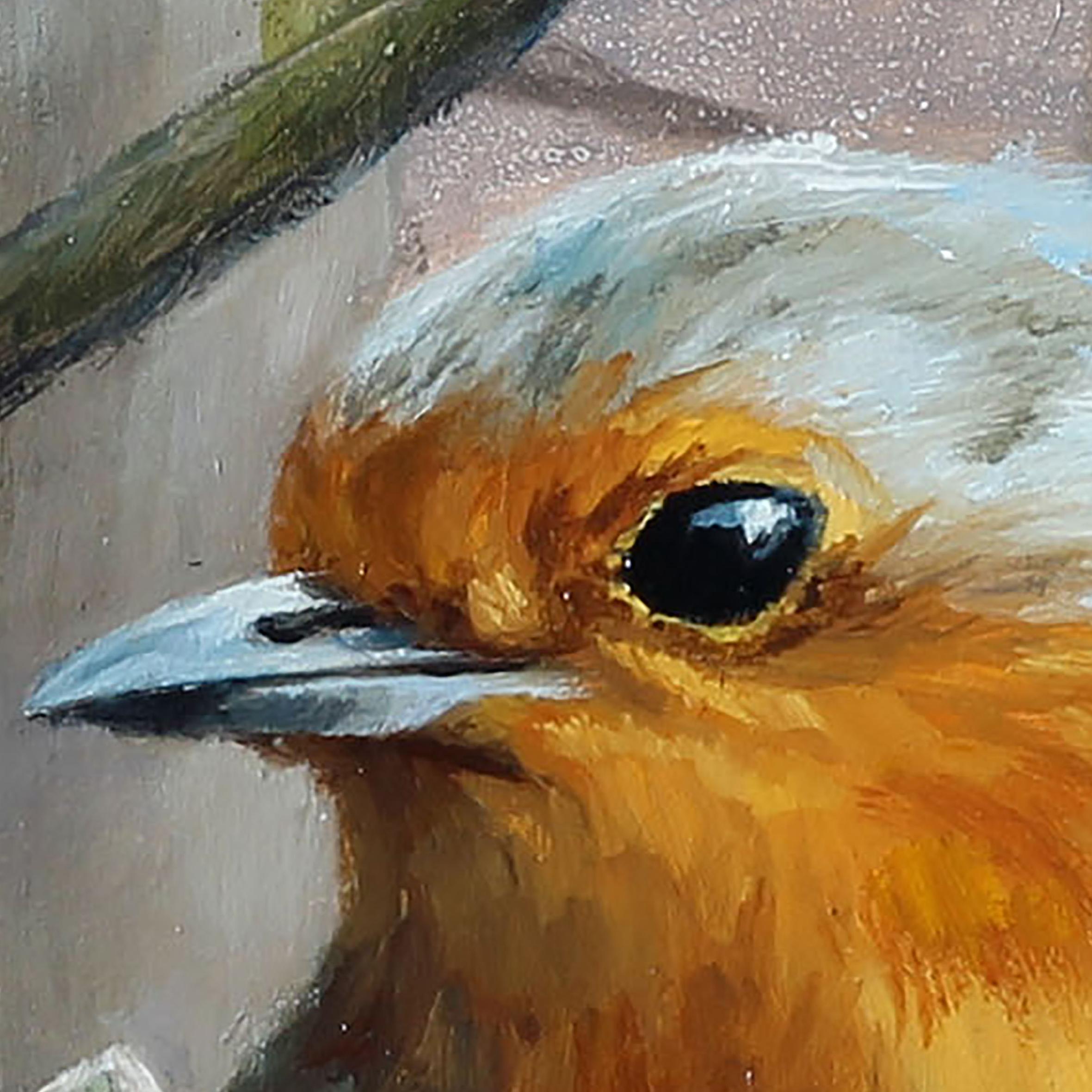 robin oil painting