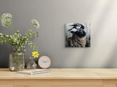 "Atterraggio morbido" (2026) - Ritratto astratto di animale, pittura ad olio figurativa