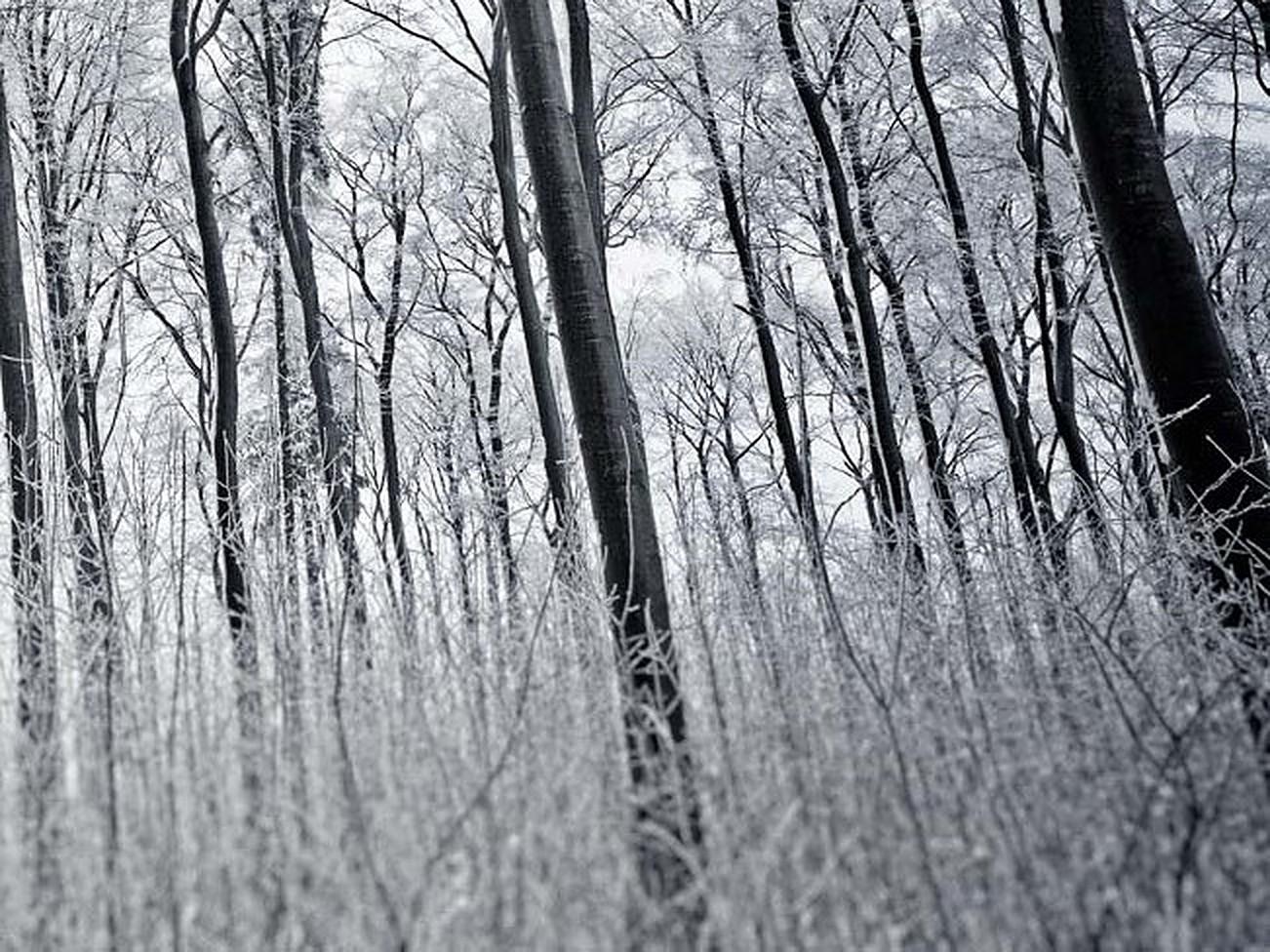 N'oubliez pas que toutes les impressions sont produites sur commande et que les délais de livraison sont de 15 à 20 jours.

Berg Park I est une impression jet d'encre d'archive étonnante du photographe contemporain Morgan Silk. 
Il est disponible