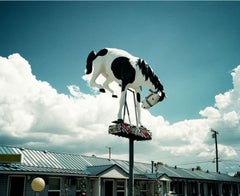 Bronco von Morgan Silk – Porträtfotografie, Landschaftsfotografie
