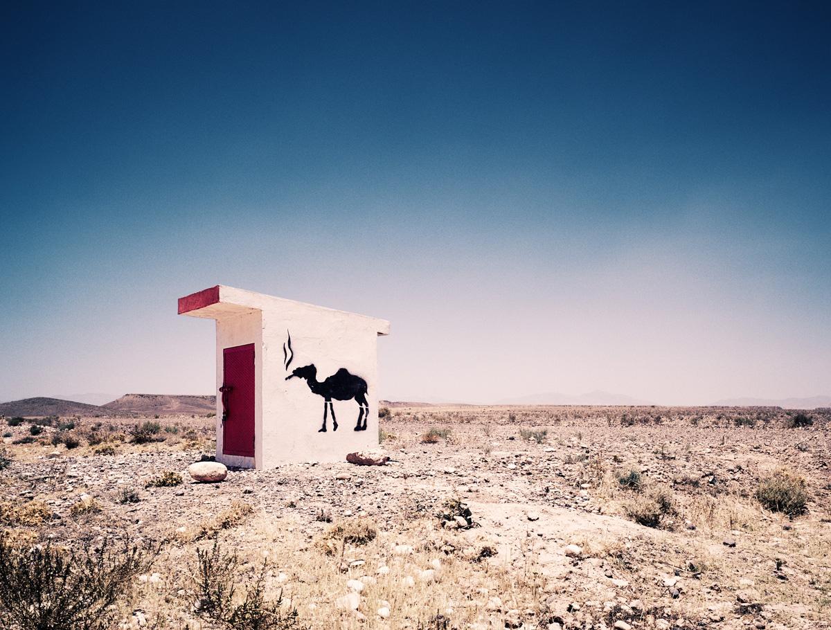 Camel Graffiti - Morgan Silk, Contemporary, Landscape, Photography